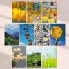 [Ecovert] Spring Sunny Landscape Postcard Set of 30