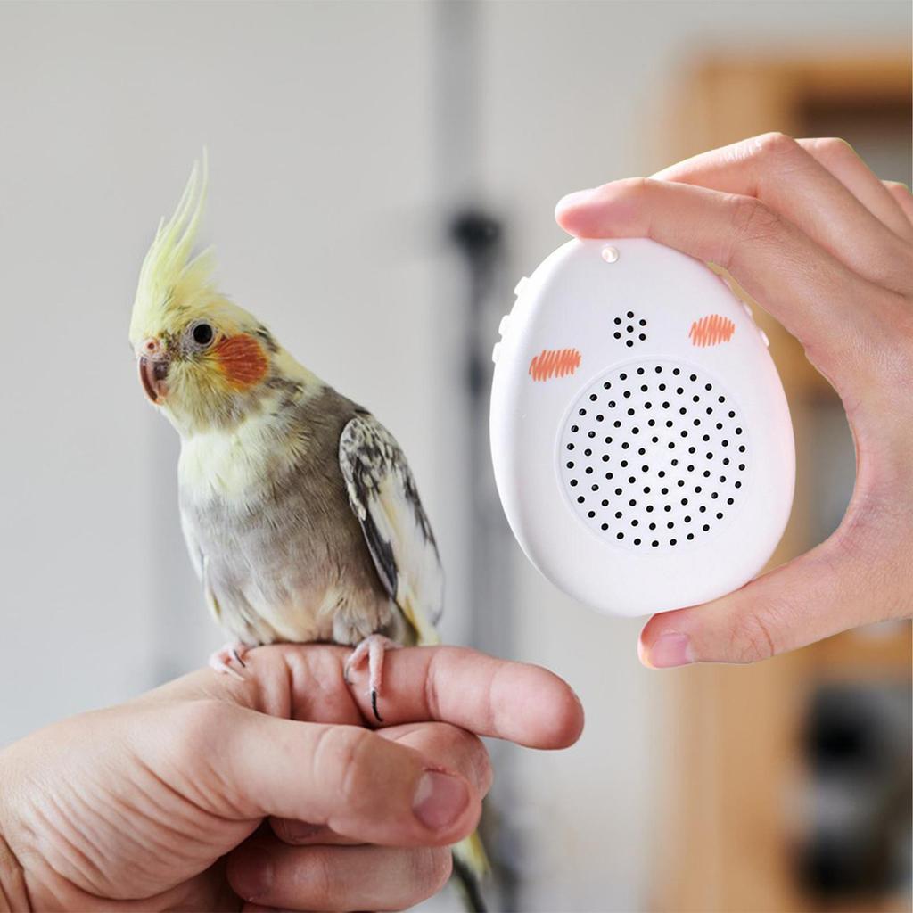 Compact Bird Learning Machine Interactive Parrot Coach Toy for African Grey Cockatiel Education in Bird Cage Setup