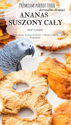Premium Parrot Food | Ananas Naturalnie Suszony | Naturalna Przekąska Dla Wszystkich Papug 100G