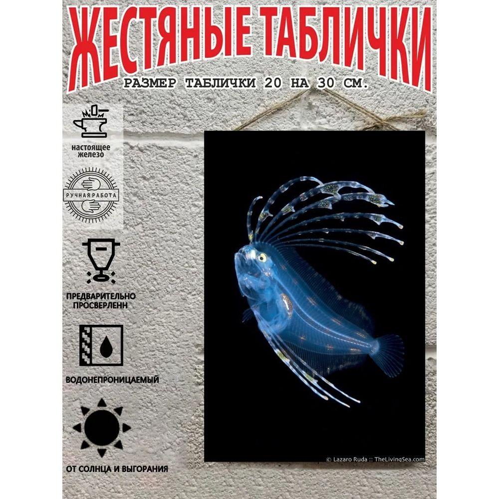 Металлические Настенные Знаки, Коллекция Морских Существ, Декор Комнаты, 20x30 см