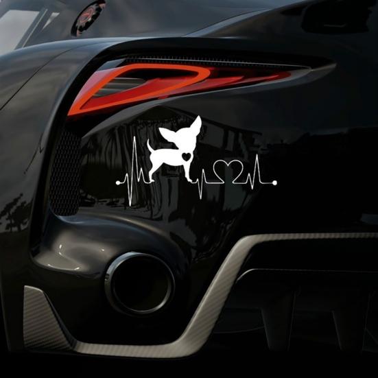 Симпатичная собака чихуахуа, автомобиль, кузов, окно, светоотражающие наклейки, украшение