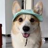 Corgi Sun Hat Pet Cap with Ear Holes Dog Sun Cap with Adjustable Neck Strap for Small And Medium Sized Pets Outdoor Sun Protection