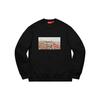 Supreme Aerial Crewneck SUP-FW20-274