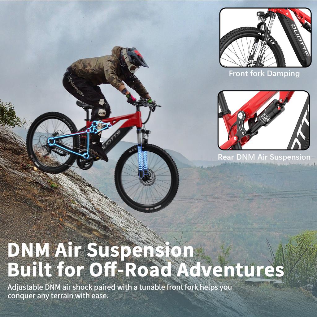 DUOTTS E29 Electric Bike 250W(Peak Value of 750W) Motor 48V 13.5Ah Battery Off-road Electric Bicycle 27.5 Inch Fat Tire E Bike