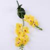 2-Fork small Phalaenopsis, feel film Phalaenopsis, simulated Phalaenopsis