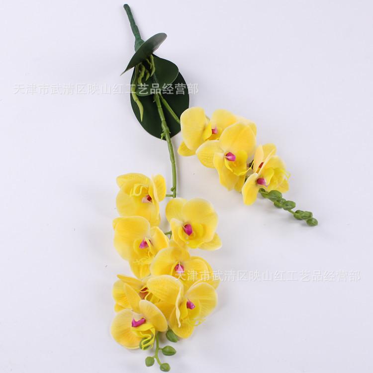 2-Fork small Phalaenopsis, feel film Phalaenopsis, simulated Phalaenopsis