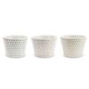 Isayama Kiln Soba Set of Hasami Made In Kohiki Kanna J-kitchens Cups, 3, 225cc, Ware, Japan,
