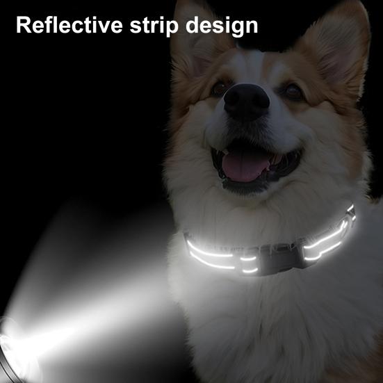 Светоотражающий ошейник для собак Нейлоновый ошейник для собак с металлическим D-кольцом Регулируемая посадка Безопасный ошейник для собак для маленьких, больших, средних собак Ночная прогулка