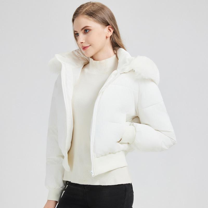 Big fur collar down cotton-padded clothes women's short European slim-fitting small styles with thickened hooded autumn and winter clothes small cott