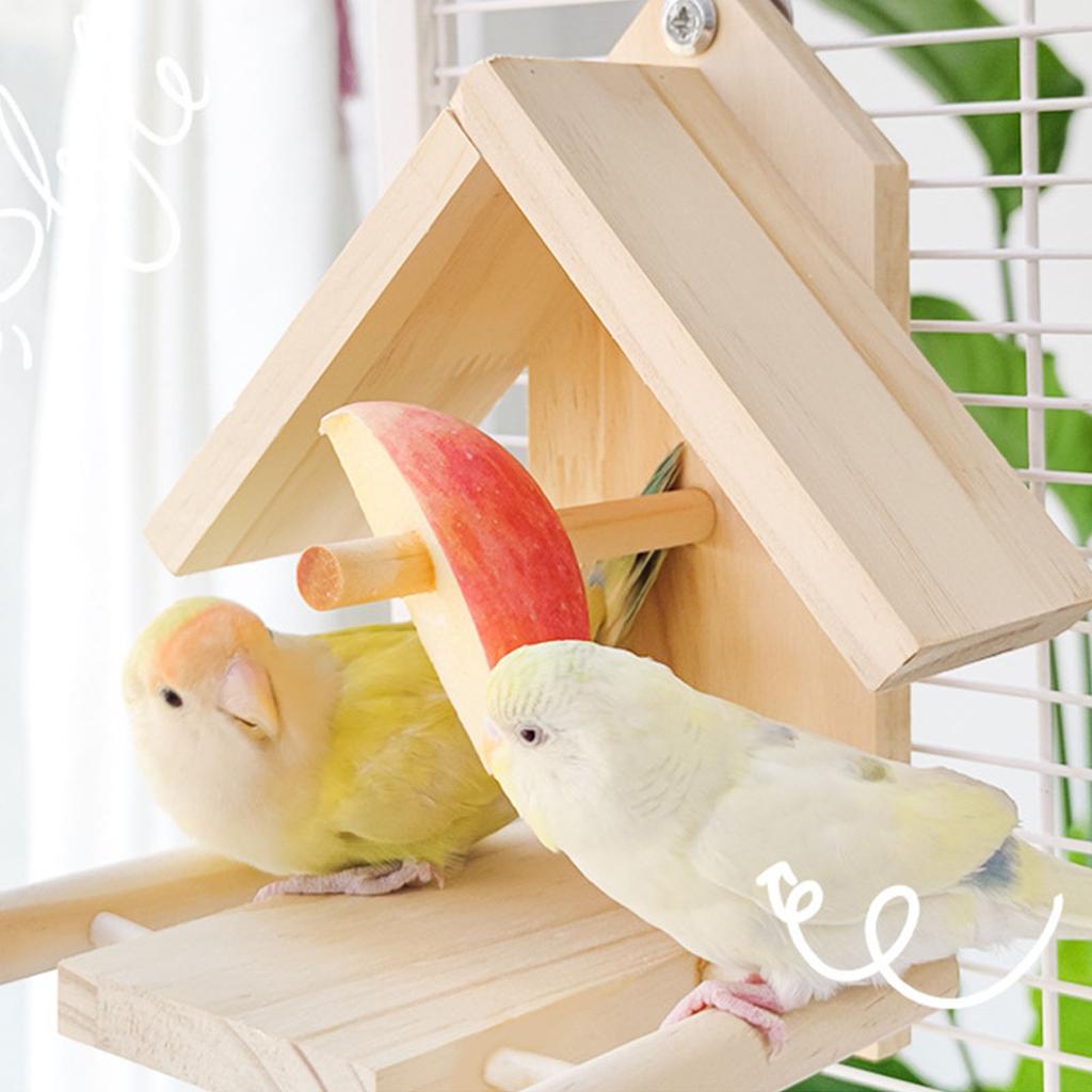 Подставка-жердочка для птиц, кормушка, молярная подставка для попугаев, товары для корелл, жердочки для волнистых попугайчиков, точилки-царапки для маленьких и средних попугаев, игрушка