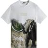 For AMNH Late Mammals Vintage Tee White Men Tops KHM030709-101