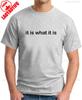 IT IS WHAT IT IS TSHIRT Funny Slogan Novelty Mens Geeky Sayings Graphic T Shirts Summer Cotton Tee Tops Ropa Hombre