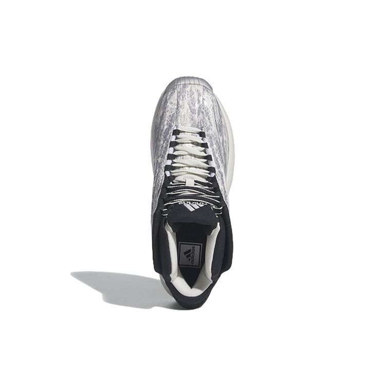 adidas Мужские кроссовки Crazy 1 Snakeskin White Off-White Core-Black GY2405