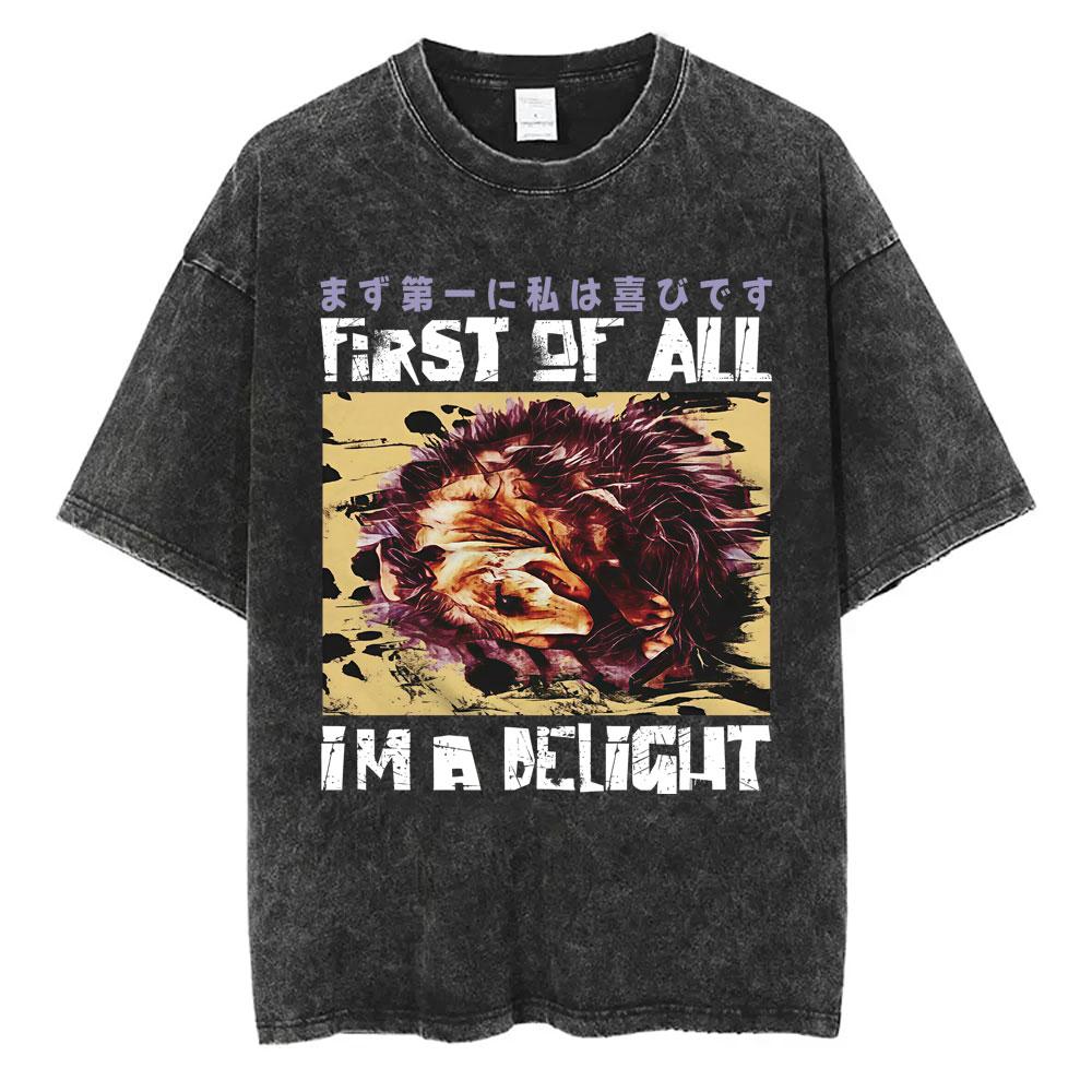 I Want A Perfect Body I Want A Perfect Soul Tshirt Funny Japanese Style Capybara Vintage Washed T Shirt Men Oversized Tees Tops