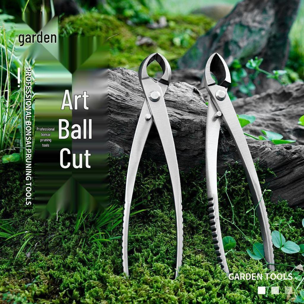Bonsai Shaping Tools: Round & Oblique Mouth Shears, Ball Joint Pliers, Gardening Flower Pruners, Tree Burl Pruners.