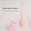 BAIR K7 Kids Sonic Electric Toothbrush CN plug (adapter included)