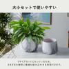 Iikuru Stylish Ceramic Planter Set for Houseplants and Succulents