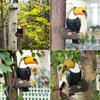 Realistic Toucan Tree Hugger Statue Resin Bird Figurine Toucan Bird Figurine  Outdoor