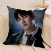Чехол для подушки JJi CChang Wook, шелковистый, короткий плюш, двусторонний, с принтом, для дивана, все сезоны, декор для дома, подарок