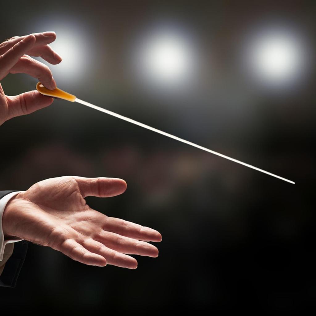 Музыкальное дирижирование 15,16 дюйма длина Оркестр Смола для дирижера концертного оркестра