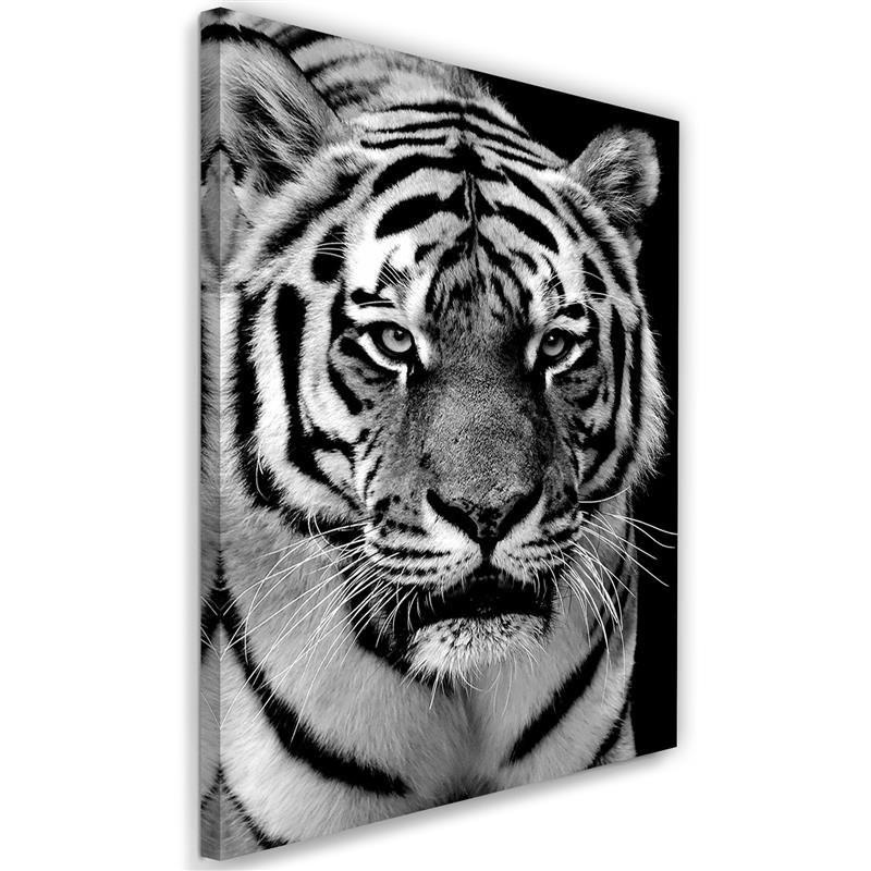 Canvas Print Tiger Africa Black and White