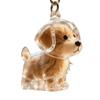 Yousheng Dog Hair Collector Keychain Dog Shape Charm Keychain Memorial Storage Box Transparent Pet Fur Keepsake Capsule Memorial Gift for Pet Lovers