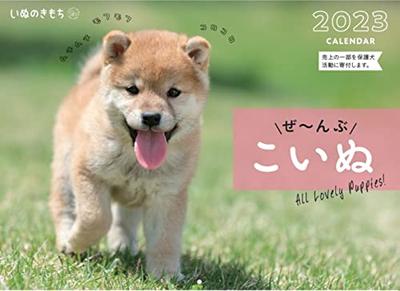 Большой календарь Dog Feeling 2023