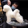 Pet Simulation Hair Beauty Practice Dog Standard Poodle Teddy Dog Whole Body Fake Hair Only Pet Grooming Trimming Hair Practice