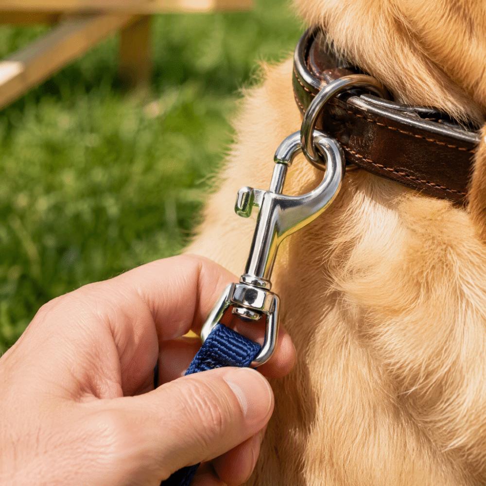 2pcs Swivel Eye Single Ended Bolt Snap Single Ended Design Swivel Eye Snap Hook Keychain