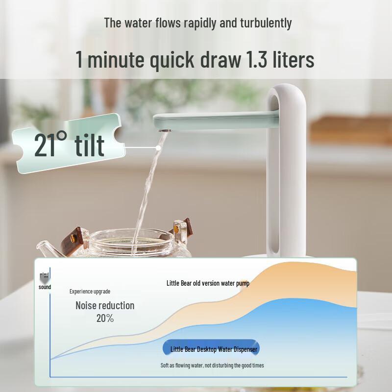 Little Bear Electric Desktop & Barrel Water Pump