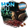 Kawa ziarnista cafeiere arabica honduras hg, 500 g