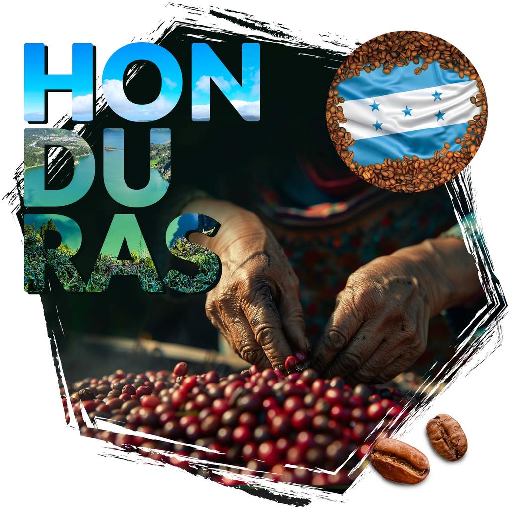 Kawa ziarnista cafeiere arabica honduras hg, 500 g