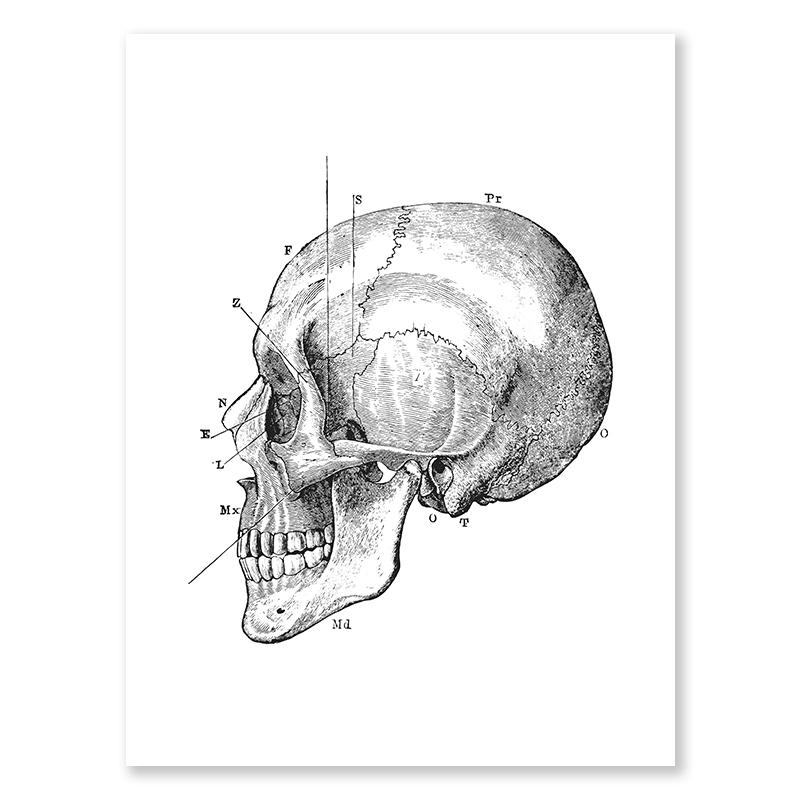 Black Skull Creative Wall Art Moon Kitten Scandinavian Poster Halloween Canvas Painting Wall Living Room Home Decoration