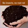 Nutrient-Rich Soil for Flowers & Vegetables - Ideal for Household Gardening