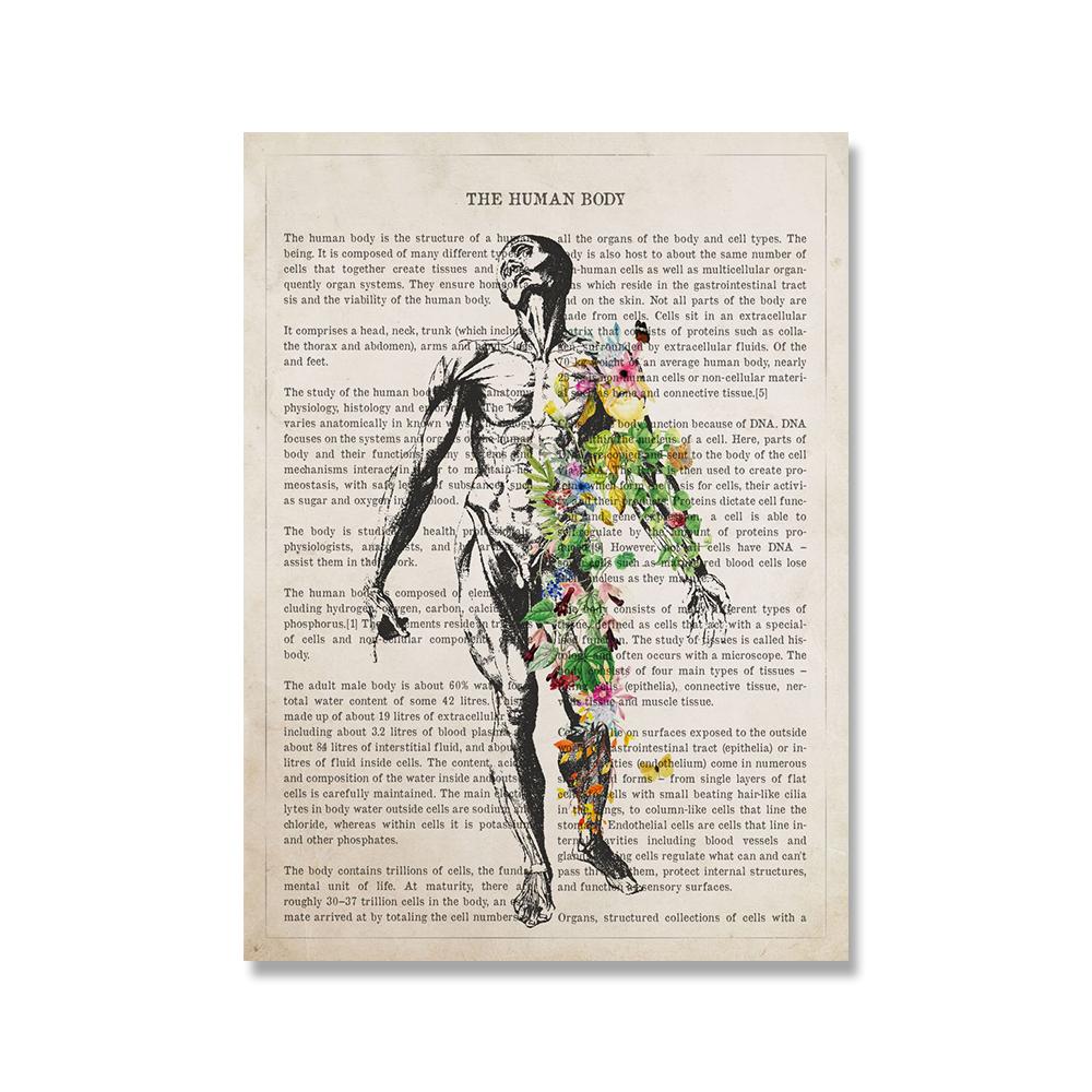 Vintage Human Body Anatomy Poster Heart Lungs Flower Medical Wall Pictures Foot Canvas Print Painting For Hospital Clinic Decor