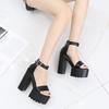 Women Summer Sandals 14CM High Heel Roman Gladiator Sandals Platform Thin Strap Simple Sandals