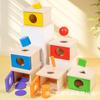 Wooden Montessori Kindergarten Early Childhood Teaching Aids Toys Montessori Infant Color Shape Cognition