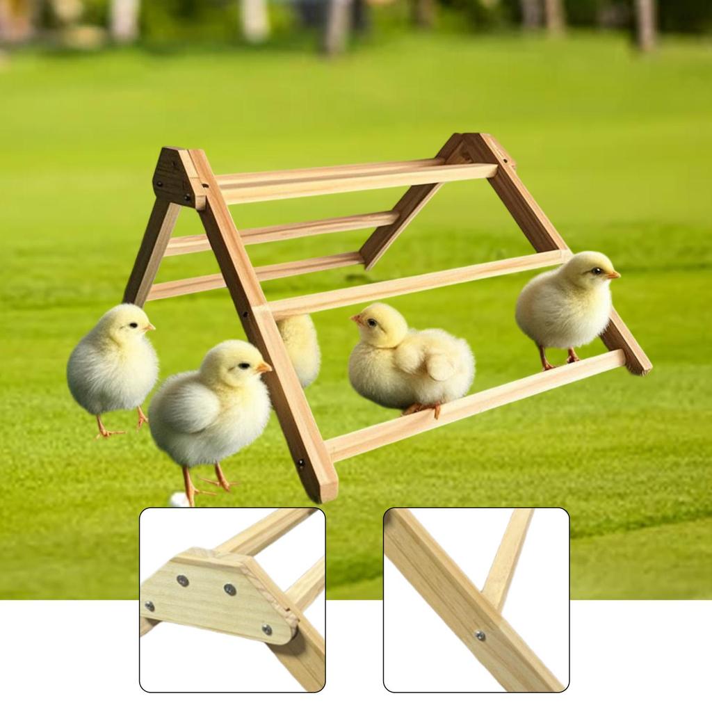 Non-slip Garden Perch for Chickens, Parrots, Birds, Macaws
