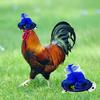 Pet Hat Delicate Hemming Feather Decor Fasten Belt Funny Chicken Accessories Poultry Hat