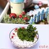 50шт миниатюрный DIY маленький садовый декор Coccinella Septempunctata изделия из смолы