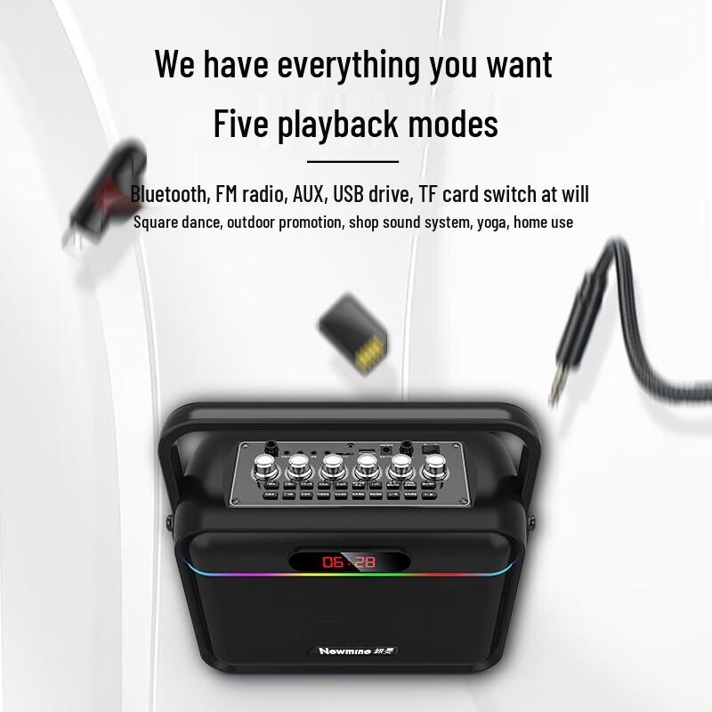 Newman K112 Portable Bluetooth KTV Speaker