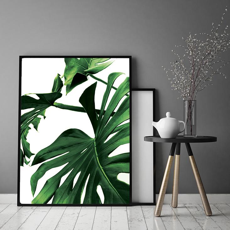 Picture, poster In a frame 33x43 cm Monstera P842