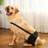 Adjustable Dog Knee Brace Comfortable Dog Leg Support Brace Pet Joint Protectors  Wound Protection