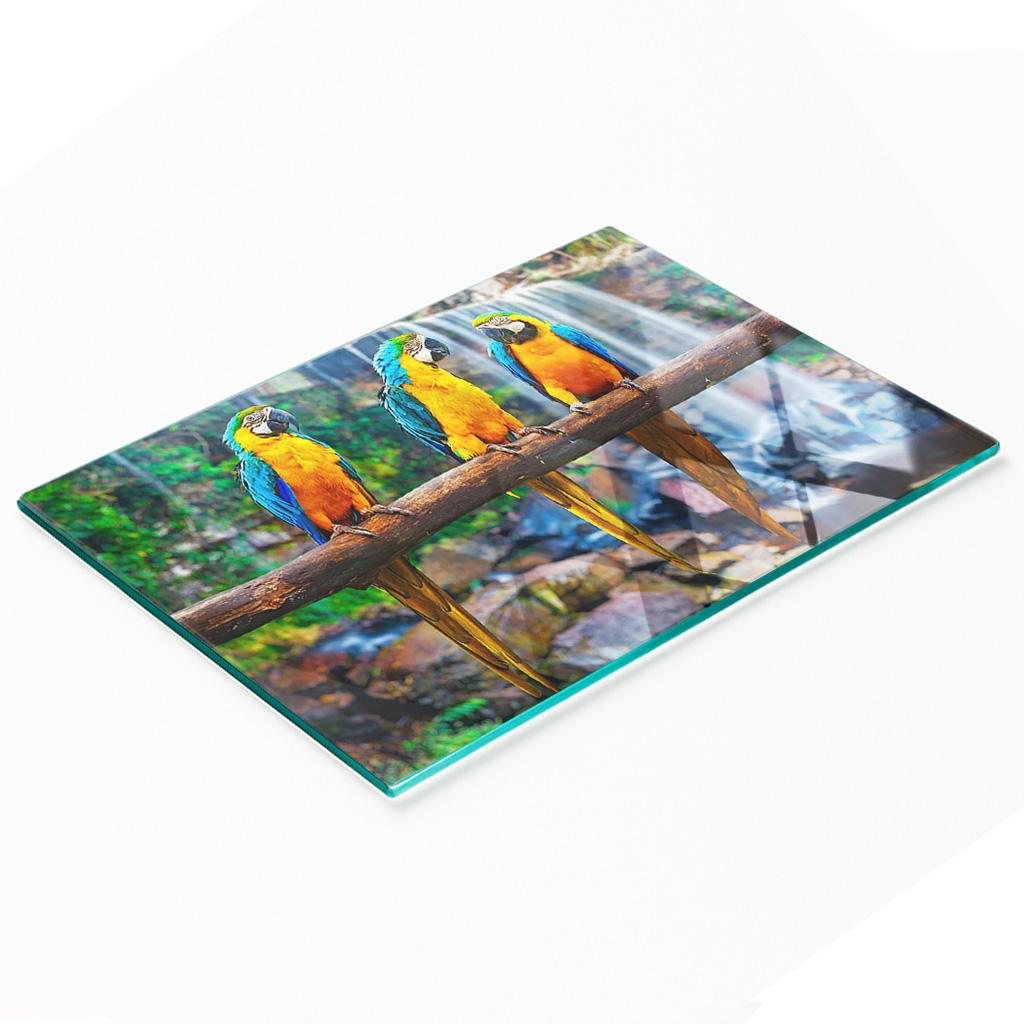 Decorative Glass Chopping and Serving Board Parrot on a Branch 80x52 cm