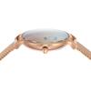 Watch ANITA SKW3107 Pink Gold [Skagen] Women's