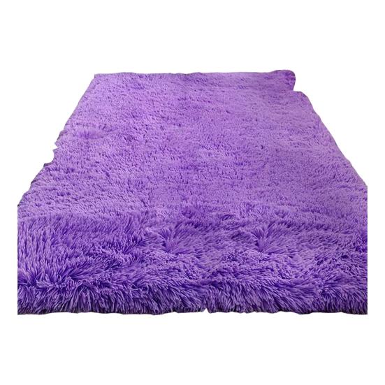 Fluffy Floor Mat Plush Area Rug with Non-slip Backing Shaggy Fuzzy Bedroom Carpet Bedside Rug for Nursery Playroom Living Room Dorm