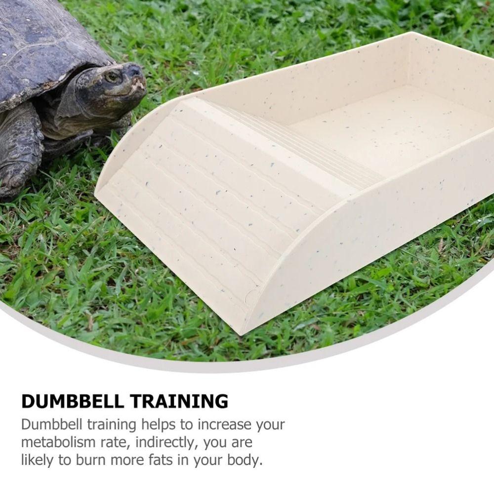 Smooth Tortoise Feeder With Platform Turtle Tank Tortoise Feeding Dish  Hamster