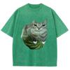 Watermelon Cat Silly Cat Meme T-Shirt Summer Sport Loose T Shirt Tops Shirt Is A Stylish Unisex Top for Both Men and Women