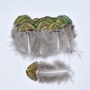 Natural Small Gold Peacock Feathers for Jewelry Making Creation Crafts 3-7cm DIY Handicraft Accessories Feather Carnaval Plumes
