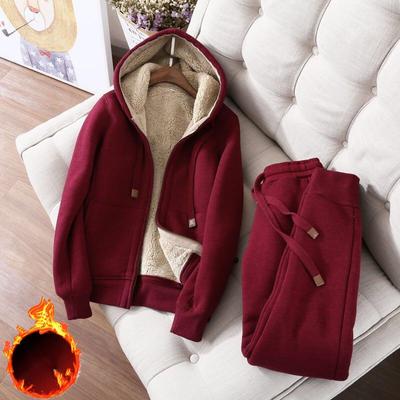 Осенне-зимняя повседневная спортивная куртка с утолщенным и плюшевым верхом для женщин, модный и свободный комплект из двух предметов